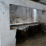 Water damaged & moldy Kitchen or Bathroom Cabinets